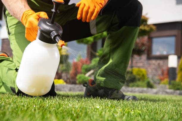 Best Termite Control Services  in Crescent Springs, KY