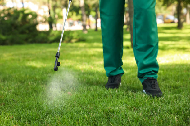 Reliable Crescent Springs, KY Pest Control Solutions
