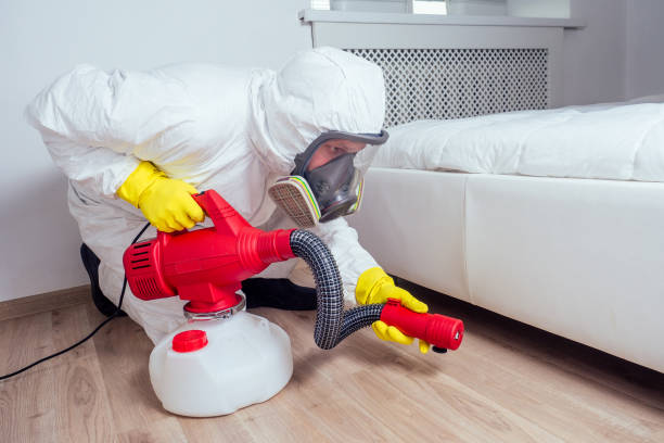 Best Flea Control Services  in Crescent Springs, KY